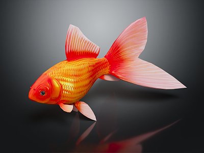 Modern cold water fish goldfish gilt grass gold 3d model