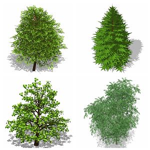 modern tree flowers green plants 3d model