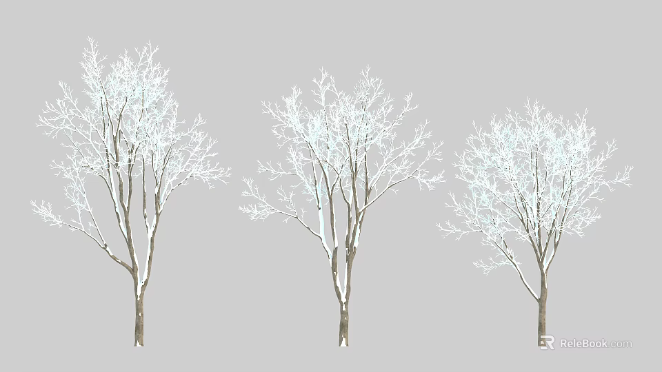 Three Winter Leafless Trees With Snow Covered Branches In Row 3d model