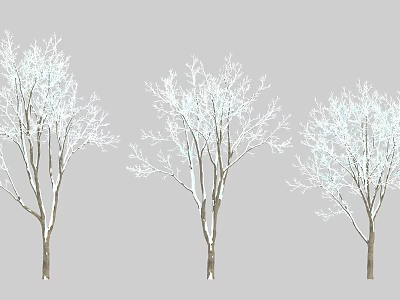 Three Winter Leafless Trees With Snow Covered Branches In Row 3d model