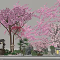 Japanese Style Garden Decor with Pink Cherry Blossom Trees Torii Gate Lantern Rocks Small Plants