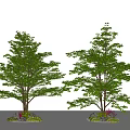 Two Green Leafy Trees With Stone Bases And Purple Plants In Landscape