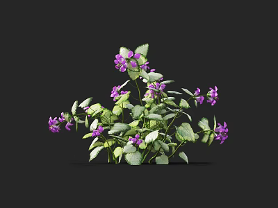 Vibrant Purple Flowers with Green Leaves Growing in Natural Plant Cluster 3d model