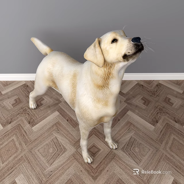 Small Yellow Reptile Lizard Standing On Patterned Wooden Floor Looking Upward 3d model 