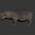 Detailed Realistic 3D Hippopotamus Model With Open Mouth On Dark Background