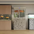 Elegant Fish Tanks On Wooden And Patterned Stands With Aquatic Plants Fish
