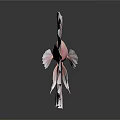 Pink Betta Fish With Large Fins White Edges And Reflection On Dark Background