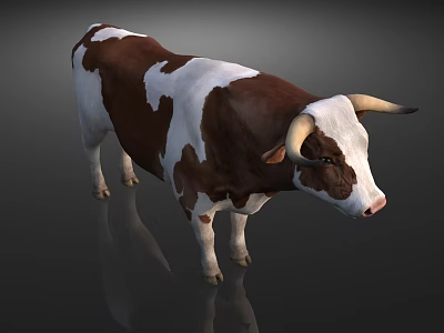Brown And White Horned Cow Standing On Gray Background With Reflection 3d model