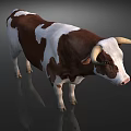Brown And White Horned Cow Standing On Gray Background With Reflection 3d model