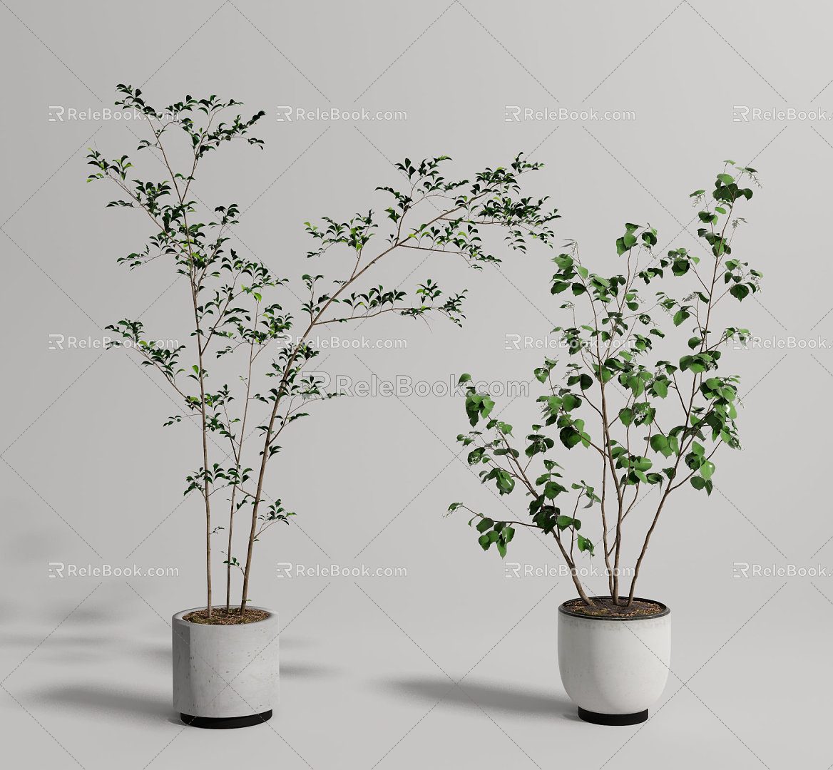 Modern potted plant potted combination 3d model