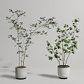 Modern potted plant potted combination 3d model