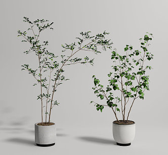 Modern potted plant potted combination 3d model