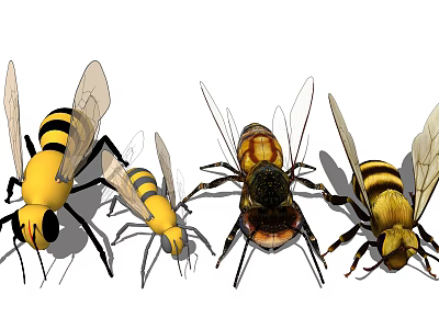 Modern Bees 3d model