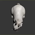 modern rabbit hare rabbit white rabbit 3d model