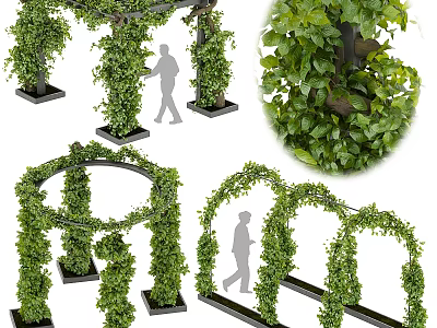 Lush Green Vine Decorative Ornament Set With Arch Structures And Foliage For Garden Decoration 3d model