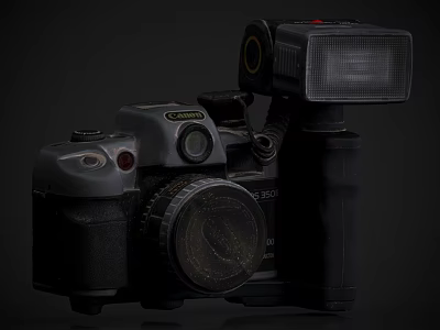 Professional Digital Camera With Flash Attachment And Lens For Digital Photography Use 3d model