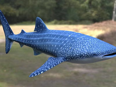 Whale Shark Marine Animal With Blue Body And White Spots Swimming In Ocean 3d model