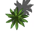 Stylish Bonsai Potted Plant With Square Gray Pot And Green Leaves