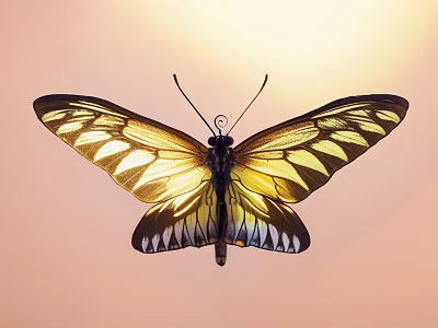 Vibrant Butterfly With Yellow And Black Patterned Wings On Soft Light Background 3d model