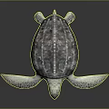 Turtle Cartoon Turtle Snapping Turtle Chickbill Turtle Reptile Cold Blooded Animal Reptile Class 3d model