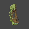 Detailed Green Branched Coral Like Biological Structure Against Black Background