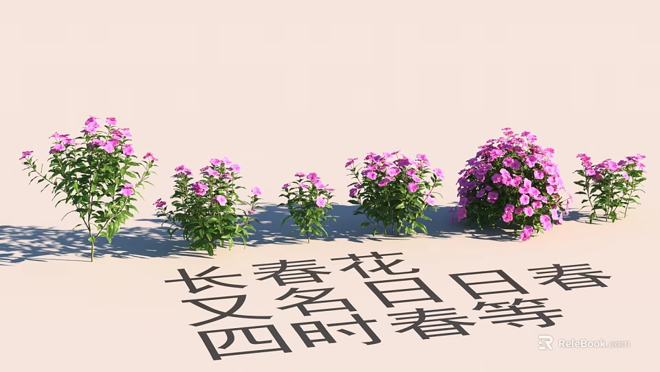 Beautiful Garden Landscape Featuring Pink Periwinkle Flowers And Everblooming Charm 3d model 