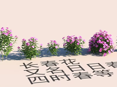 Beautiful Garden Landscape Featuring Pink Periwinkle Flowers And Everblooming Charm 3d model