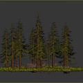Pine Forest Scene With Circular Grassy Area And Small Flowers