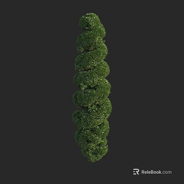 Spiraled Arborvitae Tree With Dense Green Foliage And Vertical Growth Shape 3d model 