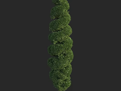 Spiraled Arborvitae Tree With Dense Green Foliage And Vertical Growth Shape 3d model