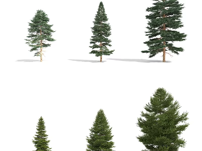 Various Types Of Arbor Trees Featuring Different Heights And Lush Green Foliage In Natural Landscape 3d model