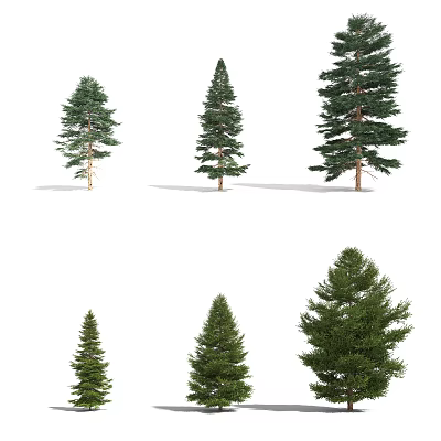 Various Types Of Arbor Trees Featuring Different Heights And Lush Green Foliage In Natural Landscape 3d model
