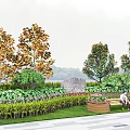 Lush Shrubs and Varied Plants in Outdoor Garden with Wooden Bench Seating