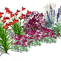 Colorful Garden Flowers Featuring Red Purple Blue Blooms And Green Foliage