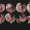 Women in Pink Flowing Dresses Dancing with Elegant Movements Against Black Background and Reflections