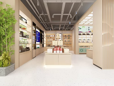 Modern Store Interior With Display Shelves Products Green Plant And Lighting 3d model