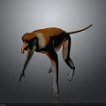 Realistic Red Faced Monkey 3D Model With Orange Fur Long Tail And Grey Limbs 3d model