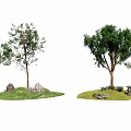 The Modern Tree 3d model