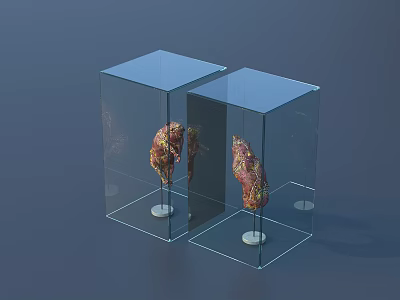 Garden Landscape Featuring Transparent Cube Display Cases With Colorful Sculptures 3d model