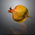 Yellow and Red Pomegranate with Speckled Skin on Dark Background with Reflection