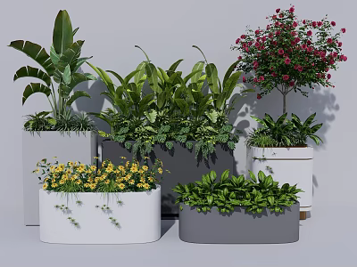 Potted Plants with Lush Green Leaves and Colorful Flowers in White Gray Rectangular Square Pots 3d model