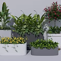 Potted Plants with Lush Green Leaves and Colorful Flowers in White Gray Rectangular Square Pots