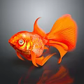 Vibrant Orange Goldfish With Flowing Fins And Tail Showing Reflection In Dark Water