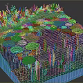 Natural Water Scene With Lily Pads Aquatic Plants And Underwater Structure