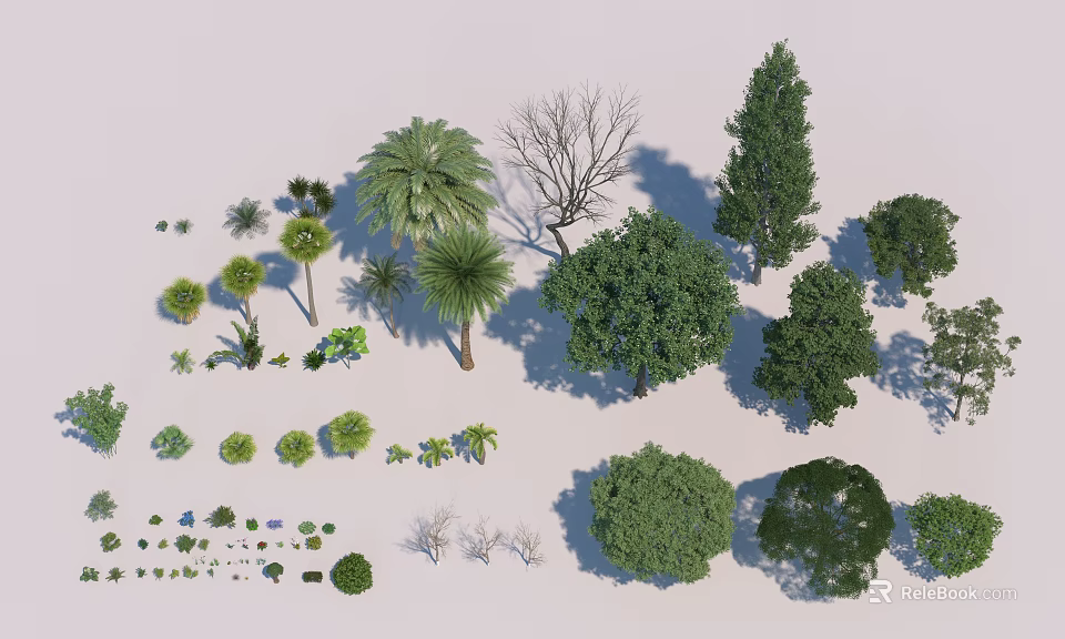 Diverse Collection of Trees Featuring Palm Coniferous Broadleaf and Other Varieties 3d model 