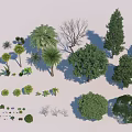 Diverse Collection of Trees Featuring Palm Coniferous Broadleaf and Other Varieties
