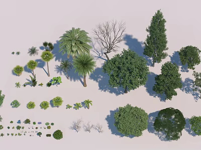 Diverse Collection of Trees Featuring Palm Coniferous Broadleaf and Other Varieties 3d model