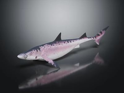 Vibrant Pink Purple Spotted Shark On Dark Surface With Reflection 3d model