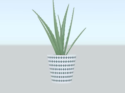 Aloe Vera Potted Plant With Black And White Geometric Pattern Pot For Indoor Decor 3d model