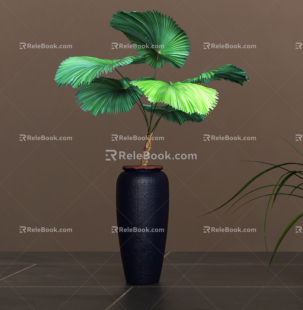 Green Plant Potted Orchid Clivia Flower Chinese Style Flower Pot Vase Potted Plant Decoration Flower Indoor Green Plant model